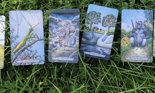The role of animals in your personality type part 2: an inner animal totem (or, Tarot and Turtles in the Heartland