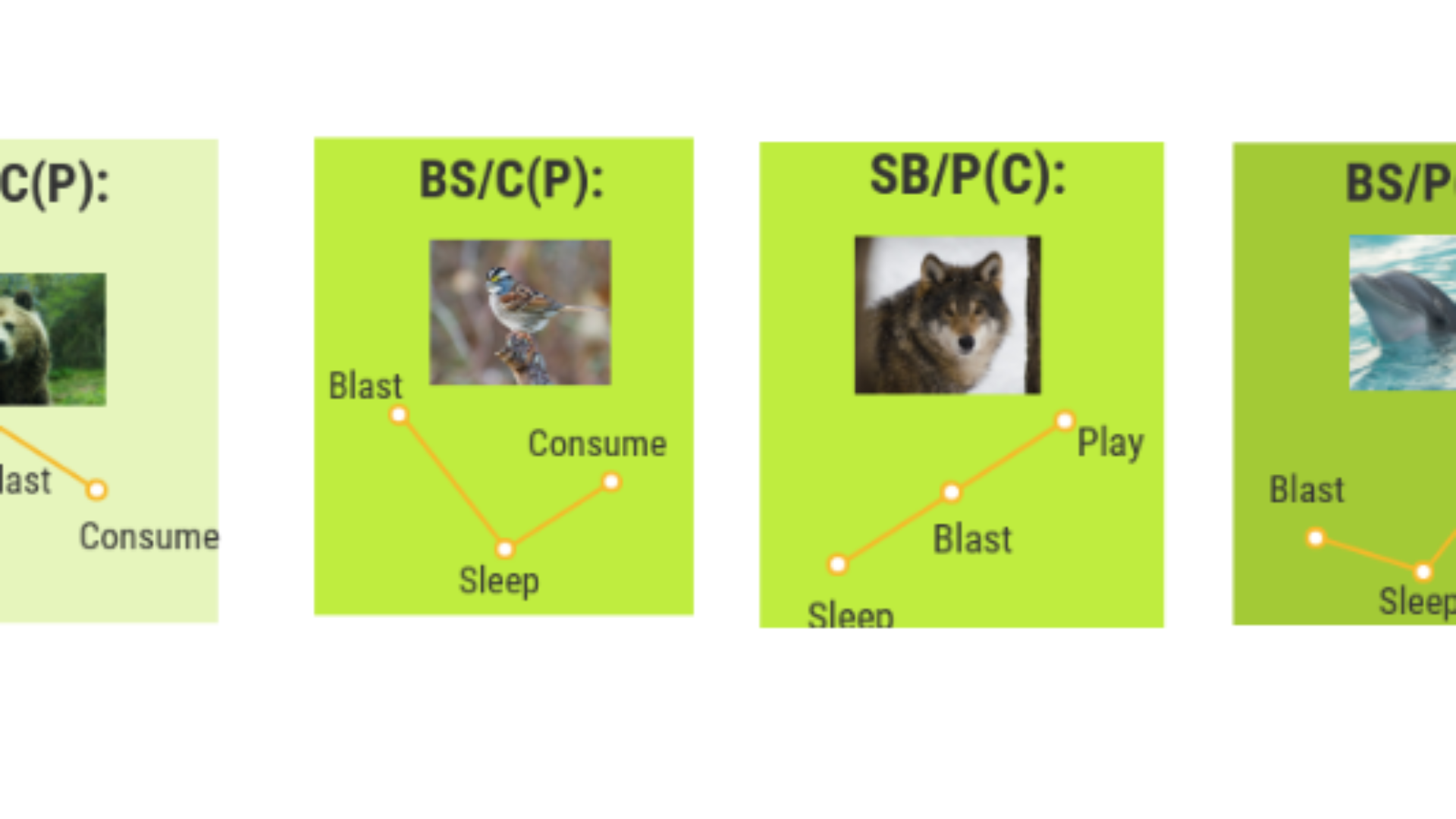 What is the Blast animal in Objective Personality?