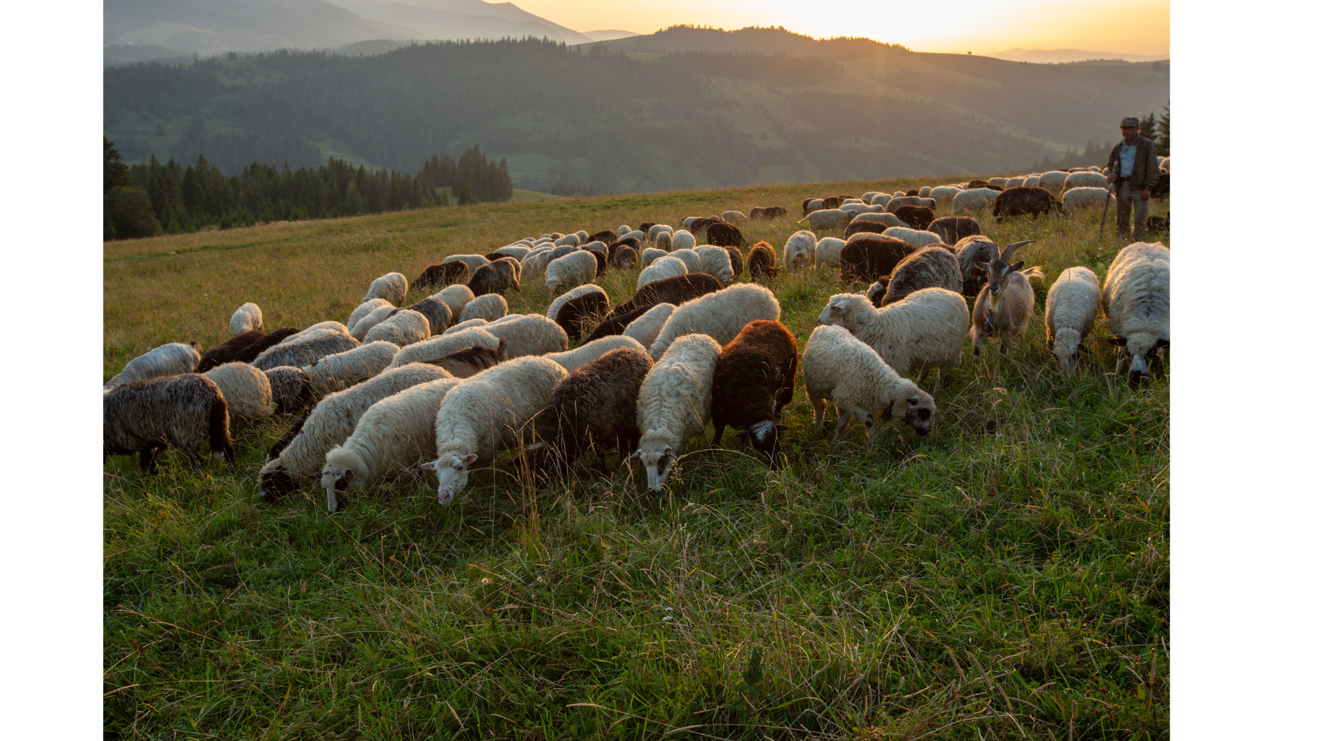 Make haste slowly — together