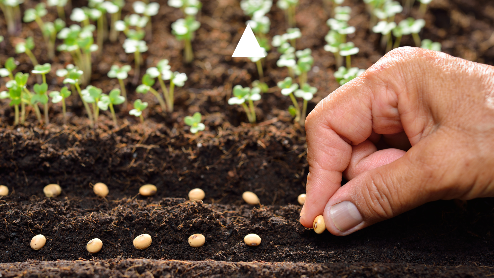 The art of letting things happen