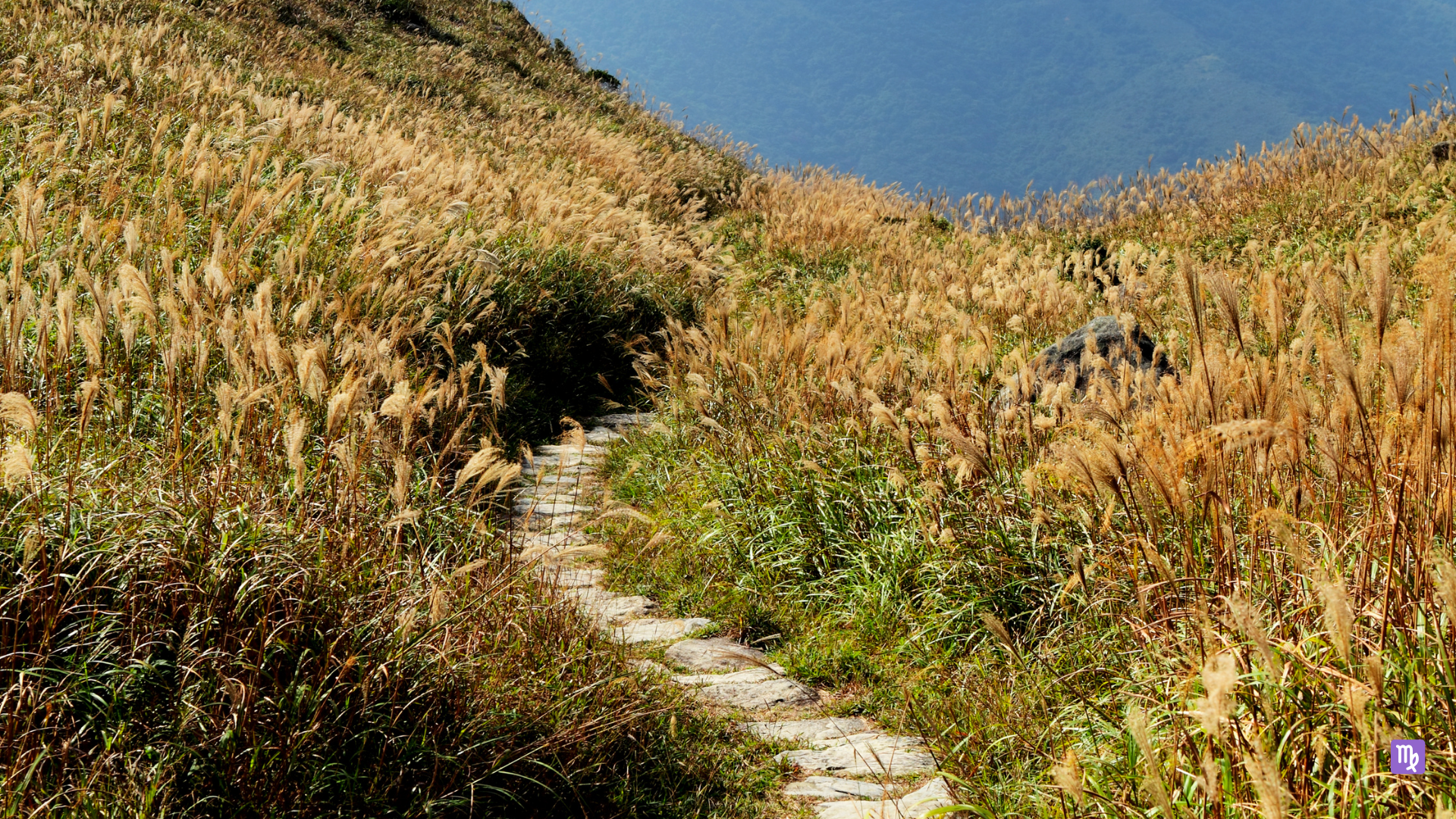 Limiting your degrees of freedom