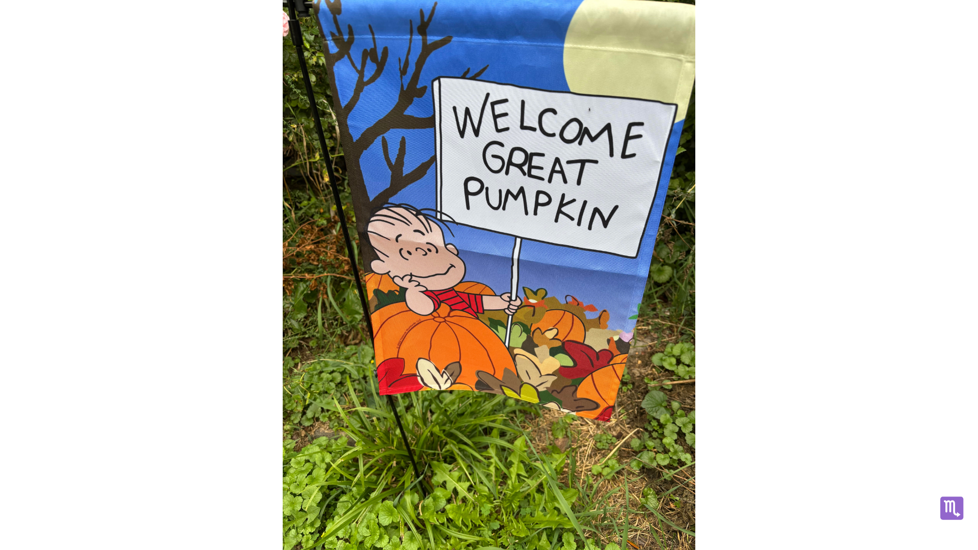 The Great Pumpkin and Individuation