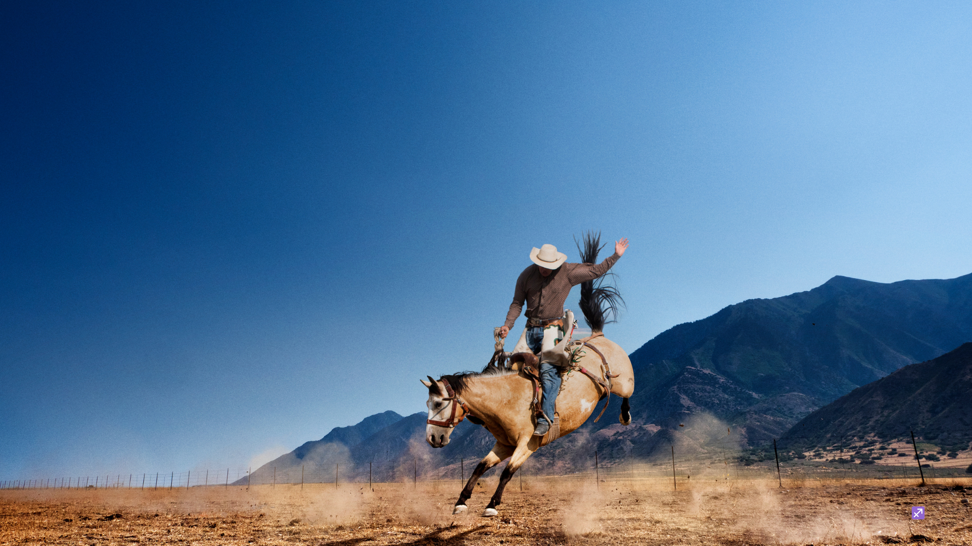 The Wound and the Try